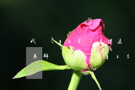 我國(guó)法律法規(guī)框架體系解讀(我國(guó)法律體系框架)