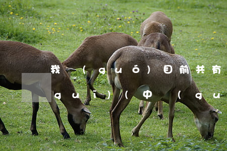 我國(guó)目前共有多少部法律法規(guī)(中國(guó)有幾部法律法規(guī))