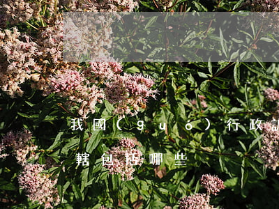 我國(guó)行政訴訟的級(jí)別管轄包括哪些