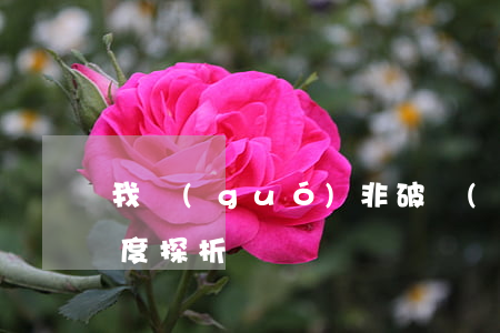 我國(guó)非破產(chǎn)清算制度探析