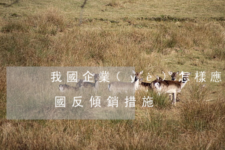 我國企業(yè)怎樣應(yīng)對外國反傾銷措施