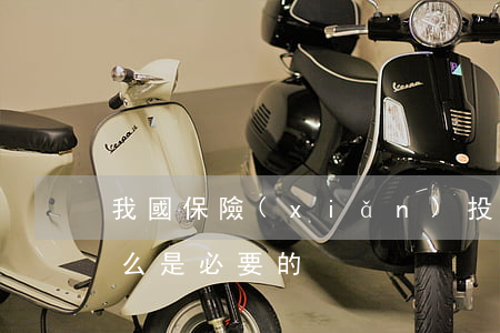 我國保險(xiǎn)投資基金的建立為什么是必要的