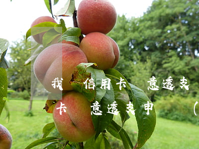 我國信用卡惡意透支風(fēng)險(信用卡惡意透支申請調(diào)查)