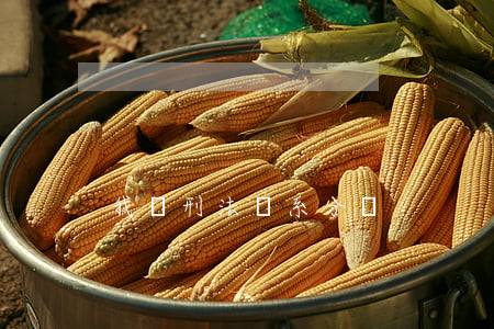 我國刑法體系分為