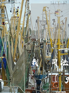 我國司法機關(guān)有哪些(我國司法機關(guān)有哪些?()A人民法院B人民檢察院C公安機關(guān))