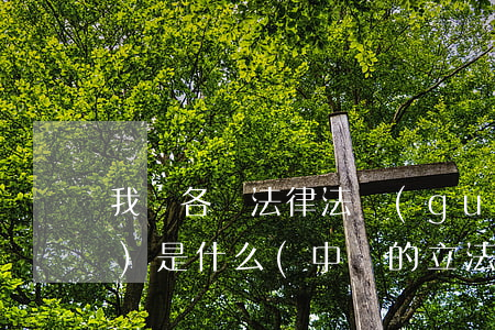 我國各類法律法規(guī)機構(gòu)是什么(中國的立法機構(gòu)是什么)
