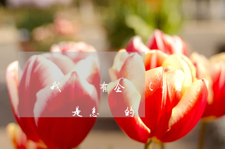 我國國有企業(yè)負債現(xiàn)狀是怎樣的