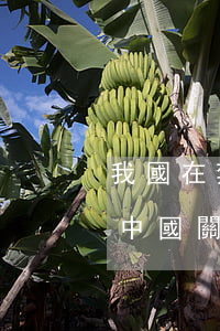 我國在禁賭博方面的法律法規(guī)(中國關(guān)于賭博的所有法律條文)