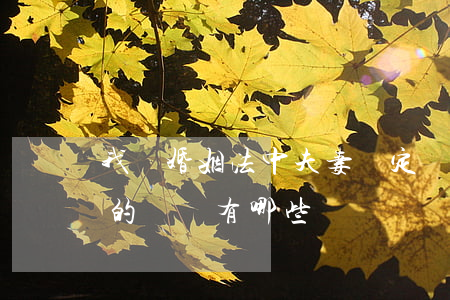 我國婚姻法中夫妻約定財產(chǎn)制的種類有哪些