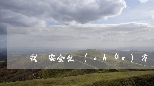 我國安全生產(chǎn)方針