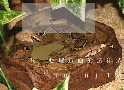我國心理方面的法律法規(guī)(我國關(guān)于精神病方面的法律法規(guī)有那些)