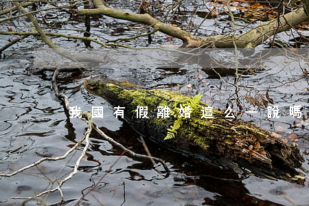 我國有假離婚這么一說嗎？