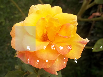 我國有限合伙現(xiàn)在哪些法律規(guī)定