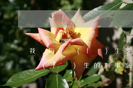 我國每年發(fā)生多少起命案(每年中國發(fā)生的刑事案件)