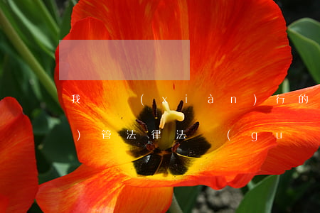 我國現(xiàn)行的藥品監(jiān)管法律法規(guī)(請問我國現(xiàn)行藥品管理方面的重要法律法規(guī)有哪些)