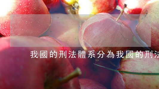 我國的刑法體系分為(我國的刑法體系分為)