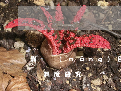我國農(nóng)民權(quán)益保護制度研究