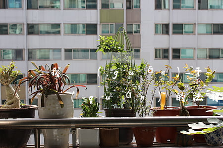 我國關(guān)于環(huán)境侵權(quán)的法律規(guī)定