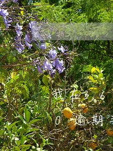 我在360逾期會(huì)上征信嗎(360逾期半個(gè)月最后還了還會(huì)上征信嗎)