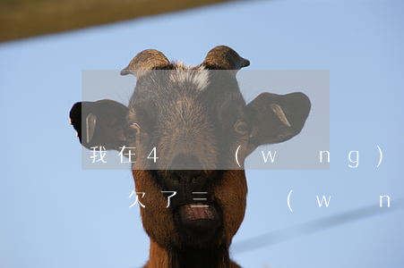 我在4個網(wǎng)貸上欠了3萬怎么辦(欠了三個網(wǎng)貸怎么辦)