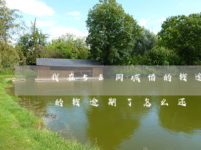 我在58同城借的钱逾期了(我在58同城借的钱逾期了怎么还)