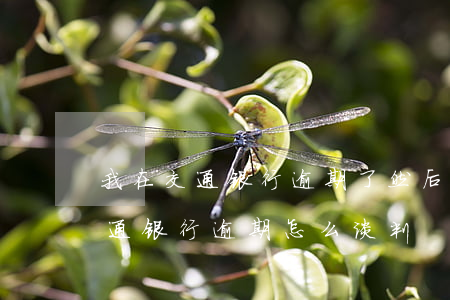 我在交通银行逾期了 然后 要承担什么责任（交通银行逾期怎么谈判）