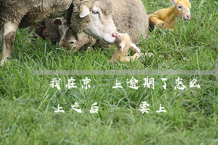我在京東上逾期了怎么辦(京東逾期了,逾期還上之后,還說要上門)