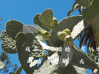 我在京東借的錢可以逾期嗎-在京東金融里面借錢逾期幾天會怎么樣
