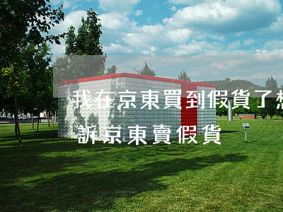 我在京東買到假貨了,想起訴,應該去哪起訴（起訴京東賣假貨）
