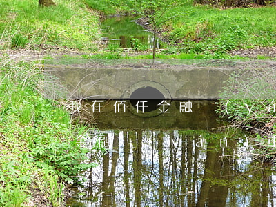 我在佰仟金融嚴(yán)重逾期(我在佰仟金融嚴(yán)重逾期了怎么辦)