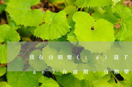 我在分期樂(lè)貸了4000現(xiàn)在逾期-分期樂(lè)逾期四百多天會(huì)被起訴貸款詐騙嗎