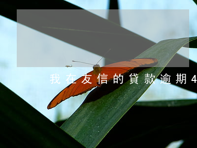 我在友信的貸款逾期4天(友信信貸最近新聞)
