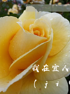 我在宜人貸逾期貸款逾期(宜人貸最新處理結(jié)果)