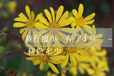 我在度小滿存了49萬-度小滿借一萬一年利息多少