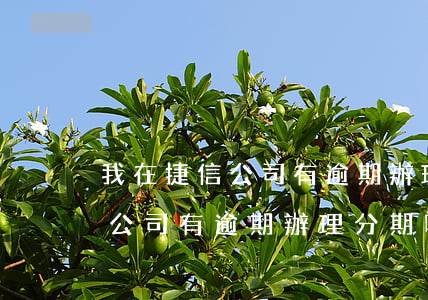 我在捷信公司有逾期辦理分期嗎-我在捷信公司有逾期辦理分期嗎安全嗎