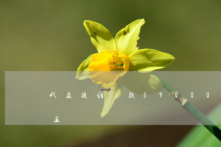 我在捷信貸款29000(我在捷信貸款七萬五)