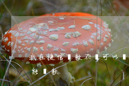我在捷信貸款不還可以嗎(捷信還完為什么不能貸款)