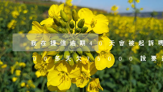 我在捷信逾期40天會被起訴嗎 捷信逾期200多天欠75000說要逮捕我是真的嗎