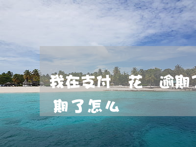 我在支付寶花唄逾期了-我在支付寶花唄逾期了怎么辦