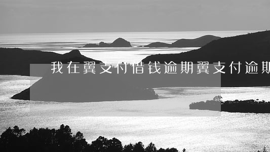 我在翼支付借钱逾期(翼支付逾期几个小时)