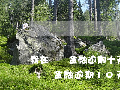 我在蘇寧金融逾期十天會(huì)怎樣-蘇寧金融逾期10天說(shuō)要追究我的責(zé)任?