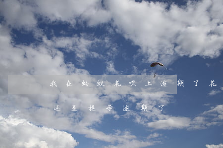 我在蚂蚁花呗上逾期了(花呗并没有逾期怎么还是提示逾期了)