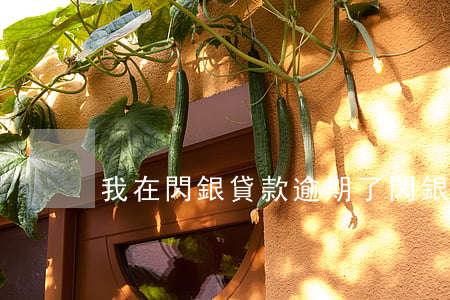 我在閃銀貸款逾期了(閃銀逾期怎么樣)