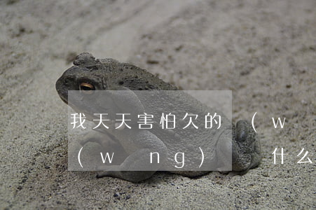 我天天害怕欠的網(wǎng)貸還不上(網(wǎng)貸為什么不怕不還)