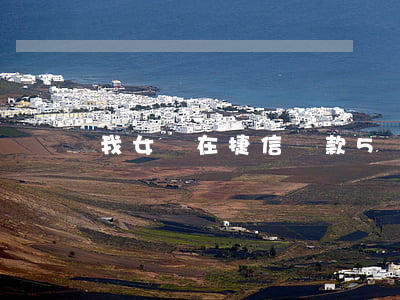 我女兒在捷信貸款5萬元(捷信貸款六萬無力償還)