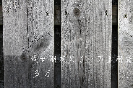 我女朋友欠了一万多网贷(女友欠了网贷10多万)