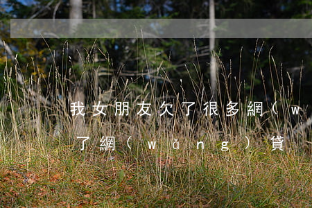 我女朋友欠了很多網(wǎng)貸(女生欠了網(wǎng)貸)