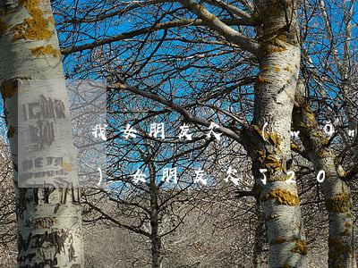 我女朋友欠網(wǎng)貸十萬(wàn)(女朋友欠了20萬(wàn)網(wǎng)貸)
