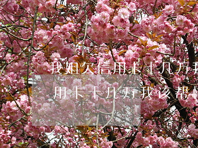 我姐欠信用卡十几万我该帮忙吗-我姐欠信用卡十几万我该帮忙吗怎么办
