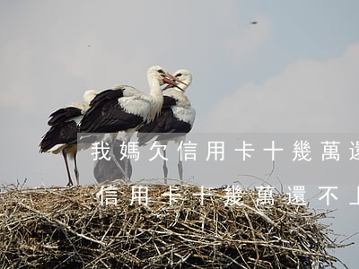 我媽欠信用卡十幾萬還不上怎么辦-我媽欠信用卡十幾萬還不上怎么辦呢